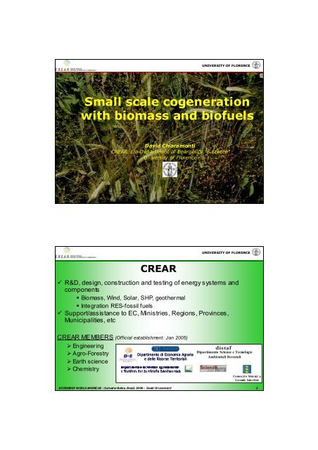 Small scale cogeneration with biomass and biofuels - Bioenergy World