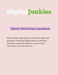 Digital Marketing Consultant - Digital Junkies