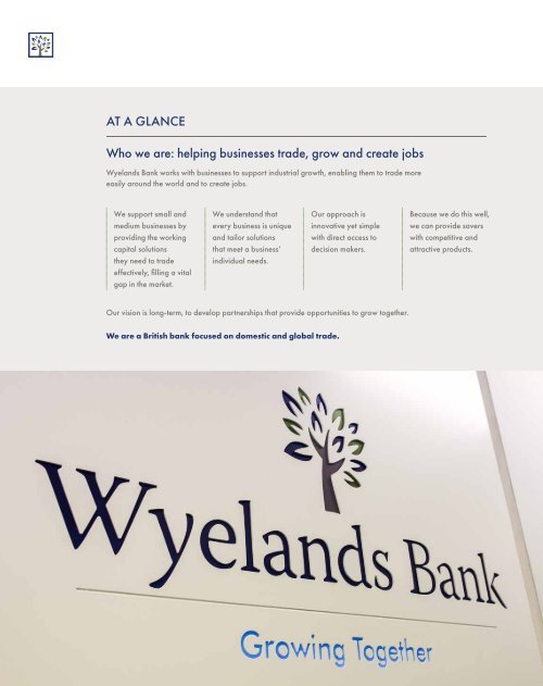 Wyeland Annual Report 2018