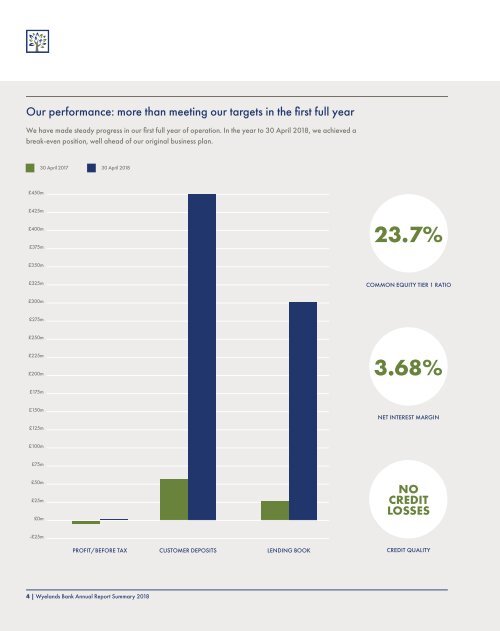 Wyeland Annual Report 2018