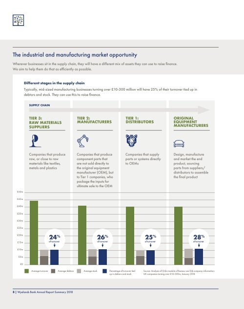 Wyeland Annual Report 2018