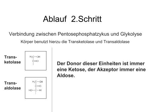 Pentosephosphatzyklus