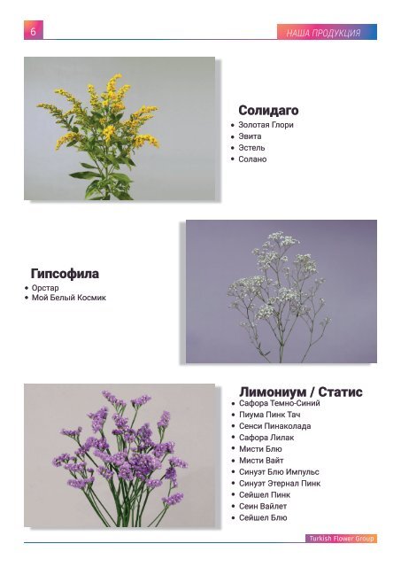 TURKISH FLOWER GROUP RUSSIAN CATALOGUE