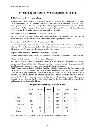 Bestimmung der Aktivität von Transaminasen im Blut