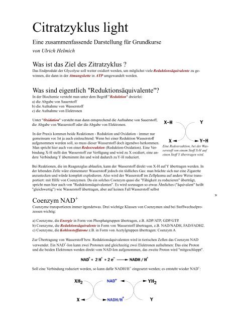 Citratzyklus Light Ulrich Helmich