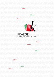 MK_20.11.18_Katalog_Kraege