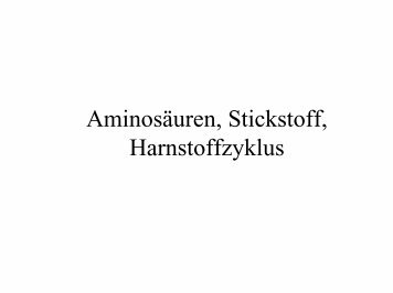 Stickstoff.pdf