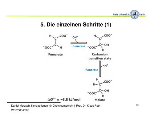 5. Die einzelnen Schritte - Metzsch, Daniel