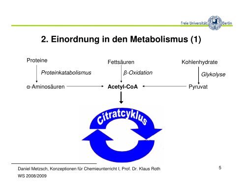 5. Die einzelnen Schritte - Metzsch, Daniel