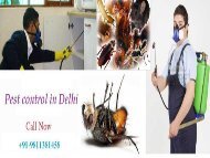 Pest control in delhi-converted