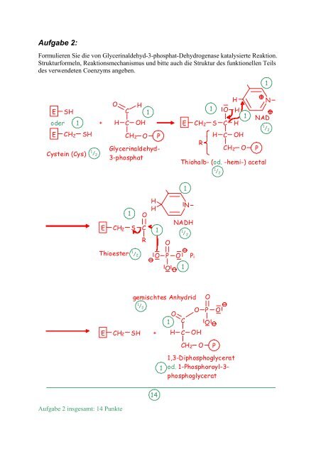 Wiederholungsklausur zur Vorlesung Biochemie I im WS 2004/05