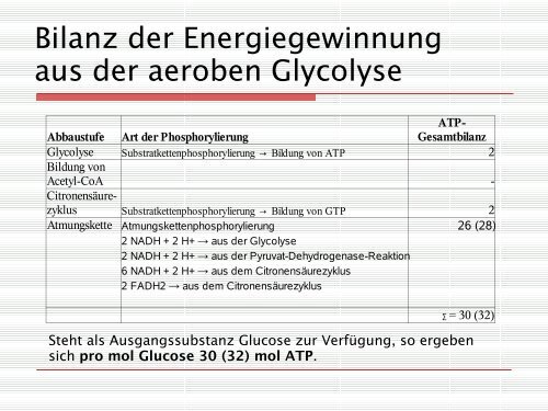 ATP- Gesamtbilanz