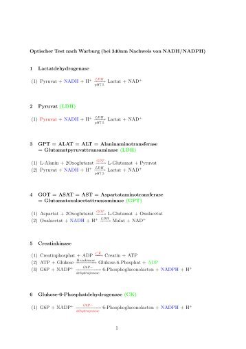 Optischer Test nach Warburg (bei 340nm Nachweis von NADH ...