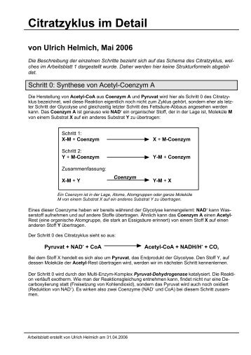 4.1-23 Citratzyklus im Detail - Ulrich Helmich