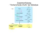 Zusammenfassung “Vorbereitende Stufe” der Glykolyse