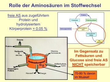 Rolle der Aminosäuren im Stoffwechsel - s .uni-sb.d