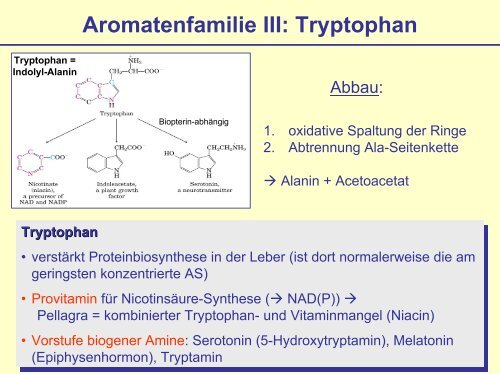 Rolle der Aminosäuren im Stoffwechsel - s .uni-sb.d