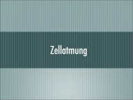 Zellatmung