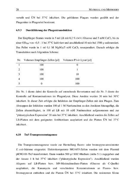 Pyruvat-Produktion durch acetatauxotrophe - JUWEL ...