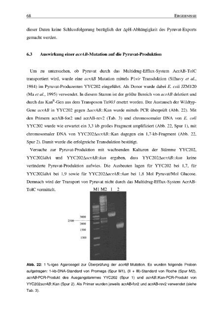 Pyruvat-Produktion durch acetatauxotrophe - JUWEL ...