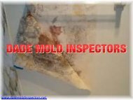 Mold Removal Miami Fl | Dade Mold Inspectors