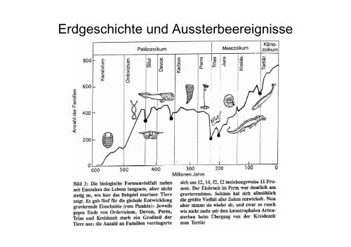 (Atmung und Gärung) Wasserstoff-Donator organotroph - DocCheck ...