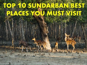 Sundarban Best Places You Must Visit