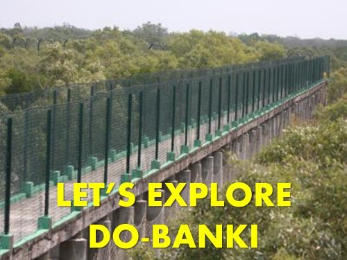 Sundarban Best Places You Must Visit