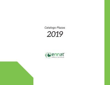 CATALOGO ENNAT PLAZAS 2019