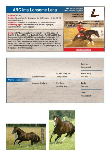 ARHA Stallion Aktion 2019 Katalog