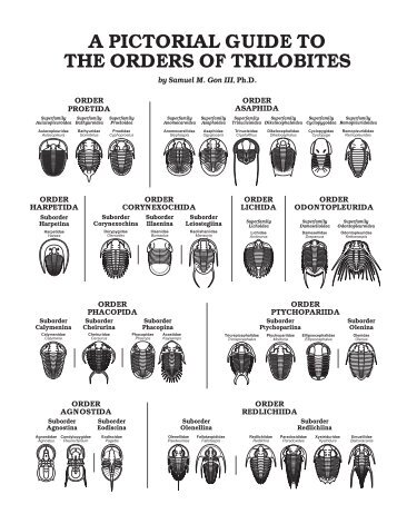 A Pictorial Guide To The Orders of Trilobites