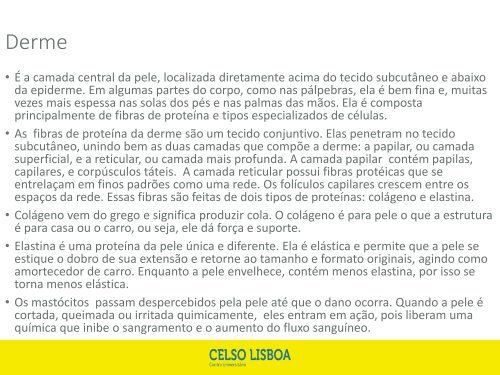 aula 1 Entender a aplicabilidade da Tricologia. Identificar as camas principais da pele e suas diferenças(2)