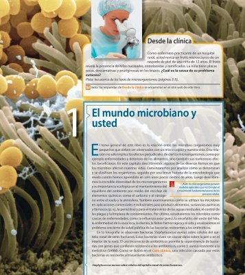 EL MUNDO MICROBIANO Y USTED