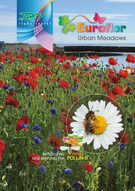 MEADOW WILD FLOWER BUTTERFLY /&BEE MIX SEEDS 5g No grass poppy cornflower daisy