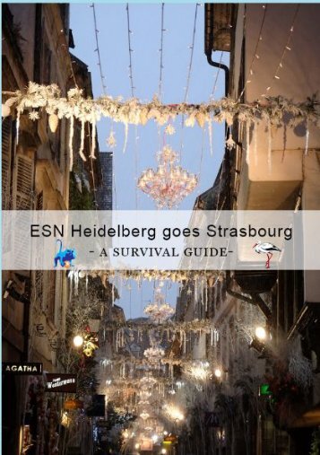 Survivalguide Straßburg 2018