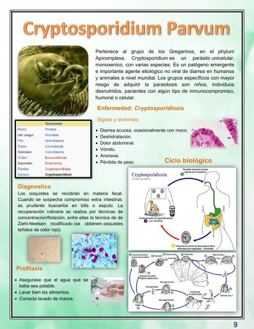 MACRO ATLAS ITP ITB