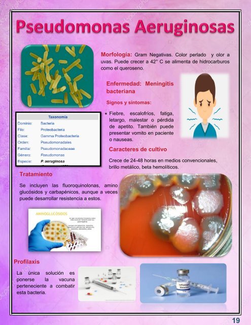 MACRO ATLAS ITP ITB