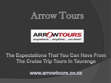 The Expectations That You Can Have From The Cruise Trip Tours In Tauranga