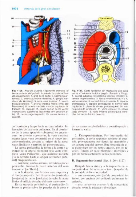 Latarjet &amp; Ruiz Liard - Anatomia Humana Tomo II