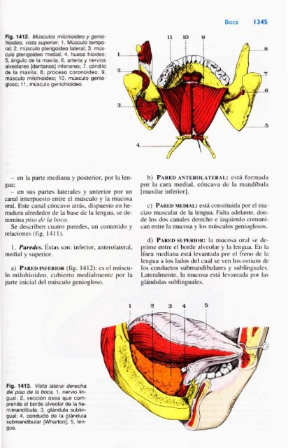 Latarjet &amp; Ruiz Liard - Anatomia Humana Tomo II