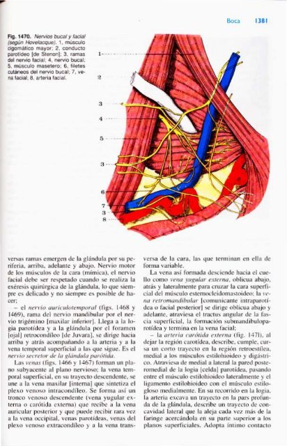 Latarjet &amp; Ruiz Liard - Anatomia Humana Tomo II