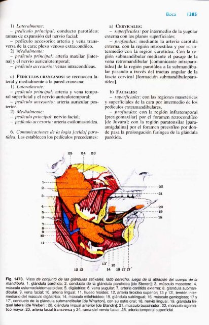 Latarjet &amp; Ruiz Liard - Anatomia Humana Tomo II