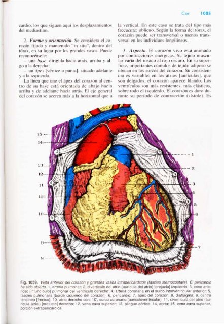 Latarjet &amp; Ruiz Liard - Anatomia Humana Tomo II