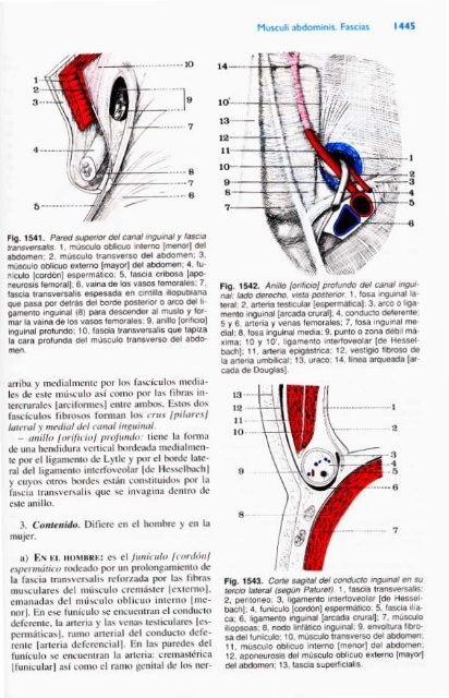 Latarjet &amp; Ruiz Liard - Anatomia Humana Tomo II