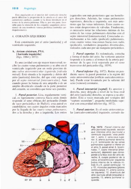 Latarjet &amp; Ruiz Liard - Anatomia Humana Tomo II