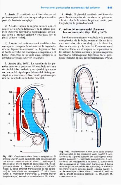 Latarjet &amp; Ruiz Liard - Anatomia Humana Tomo II