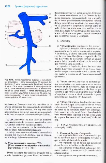 Latarjet &amp; Ruiz Liard - Anatomia Humana Tomo II