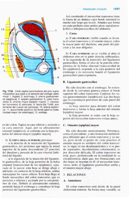 Latarjet &amp; Ruiz Liard - Anatomia Humana Tomo II