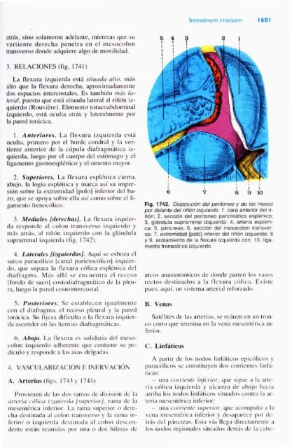 Latarjet &amp; Ruiz Liard - Anatomia Humana Tomo II