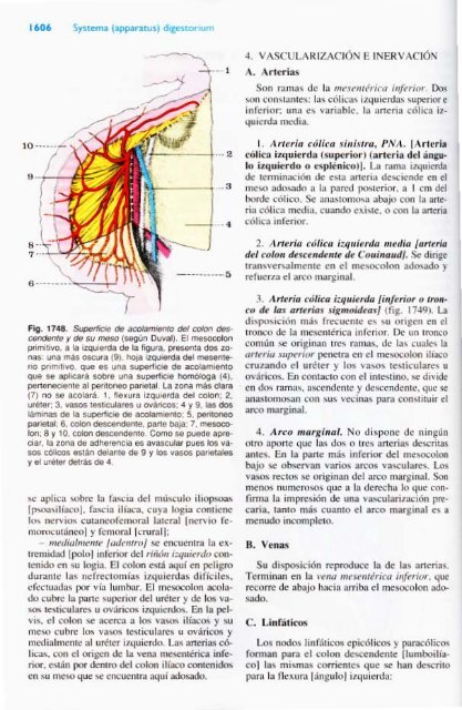 Latarjet &amp; Ruiz Liard - Anatomia Humana Tomo II